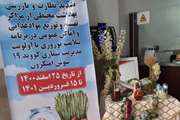 فعالیت‌های گسترده واحد بهداشت محیط مرکز بهداشت جنوب تهران در برنامه سلامت نوروزی 1401