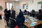 برگزاری جلسه هماهنگی ادغام برنامه امنیت غذایی (باغ) و برنامه سلامت روان و مراقبت‌های اجتماعی (سامان) در مرکز بهداشت جنوب تهران