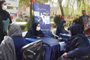 برگزاری کلاس آموزشی مشاوره فردی به معلولان در مرکز بهداشت جنوب تهران